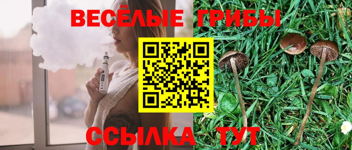Советск  Галлюциногенные грибы Psilocybe  Вход с VPN 